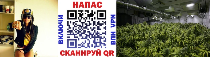 Канабис SATIVA & INDICA  Купить  Казань 
